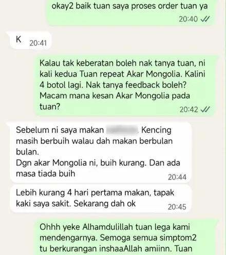 Mesej WhatsApp pelanggan repeat order ke-2
